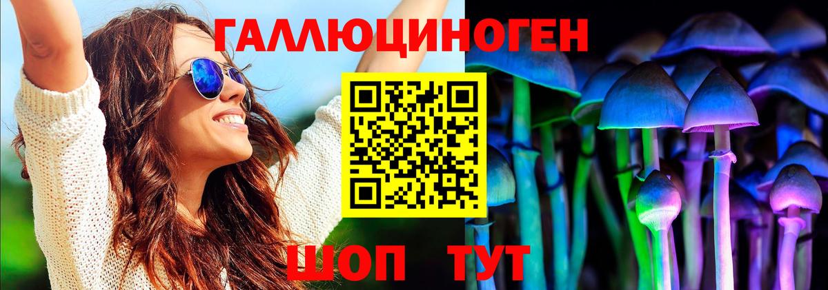 Псилоцибиновые грибы Cubensis  Галлюциногенные грибы GOLDEN TEACHER  Корсаков  Вход с VPN 